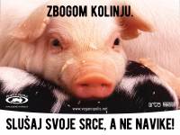 Zbogom kolinju - slu�aj svoje srce, a ne navike! [ 748.76 Kb ]