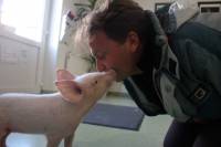 Super Ljilja visiting the vet [ 141.31 Kb ]