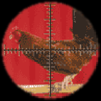 Meta koko� [ 6.68 Kb ]