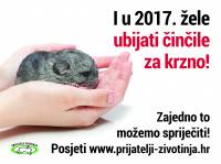 plakat cincile [ 540.82 Kb ]