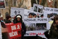 Mar� za �ivotinje, foto: Jelena Ra�i� [ 319.80 Kb ]