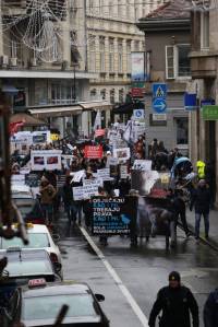 Mar� za �ivotinje, foto: Jelena Ra�i� [ 419.21 Kb ]