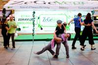 ZeGeVege festival 2018, foto: M^3/Matej �elar [ 276.05 Kb ]