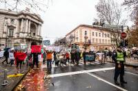 Mar� za �ivotinje 2018., foto: Uros Modlic [ 892.87 Kb ]