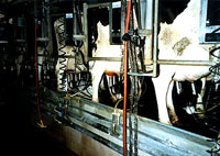 Milk factory 10 [ 27.22 Kb ]