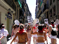 Pamplona 2005 #11 [ 72.62 Kb ]