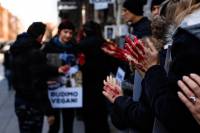 Obri�imo krv s na�ih ruku. Budimo vegani 2 [ 113.99 Kb ]