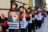 Obri�imo krv s na�ih ruku. Budimo vegani 5 [ 186.46 Kb ]