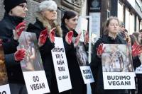 Obri�imo krv s na�ih ruku. Budimo vegani 42 [ 511.47 Kb ]