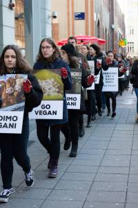 Obri�imo krv s na�ih ruku. Budimo vegani 47 [ 1.05 Mb ]