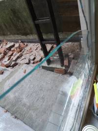 earthquake 10 [ 114.12 Kb ]