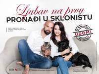 Ljubav na prvu prona�i u skloni�tu [ 896.78 Kb ]