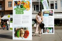 VegeEdu_Matej Celar 4 [ 619.44 Kb ]