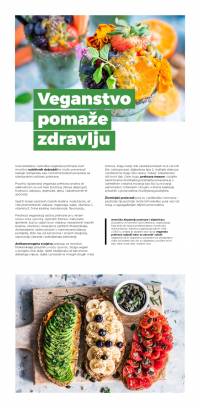 vizual 4 [ 461.37 Kb ]