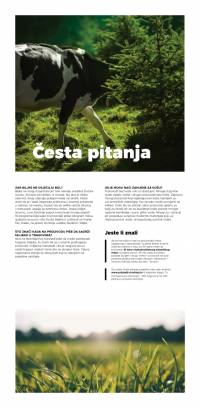 vizual 9 [ 395.10 Kb ]