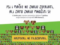 cats and dogs cannot do math but they can multiply 2 [ 646.90 Kb ]