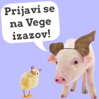 prijava novi vege izazov prijava novi vege izazov