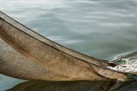 Trawl nets 6 [ 224.52 Kb ]