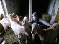 U skloni�tu 2 [ 707.18 Kb ]