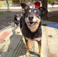 Organization Victorius [ 284.04 Kb ]