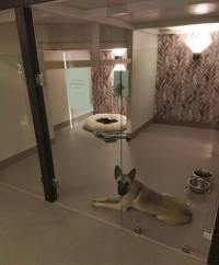 PetPalace - hotel za pse [ 541.22 Kb ]