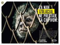 zaobi�i zoo_majmun [ 150.13 Kb ]