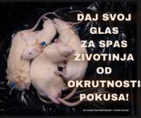 pokusi_mala