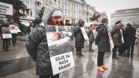 Me�unarodni dan prava �ivotinja- fotografije Davida Rammsa [ 147.02 Kb ]