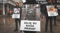 Me�unarodni dan prava �ivotinja- fotografije Davida Rammsa [ 160.43 Kb ]