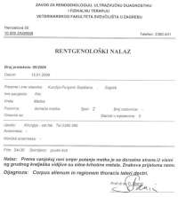Rendgenolo�ki nalaz [ 40.85 Kb ]