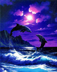 dolphinsjumping [ 70.34 Kb ]