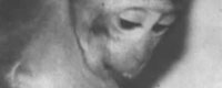 Photo of the month - Monkey from Royal College of Surgeons lab in England [ 15.84 Kb ]