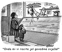 Svje�a govedina [ 78.09 Kb ]