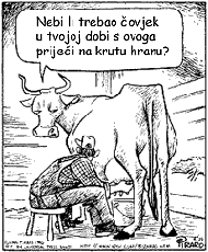 Kruta hrana Kruta hrana