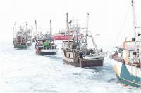 Canadian Coast Guard breaks ice to lead the sealers to their prey [ 32.89 Kb ]