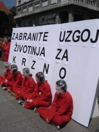 Za zabranu uzgoja �ivotinja za krzno [ 33.03 Kb ]