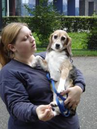 Beagleica Lu [ 36.87 Kb ]