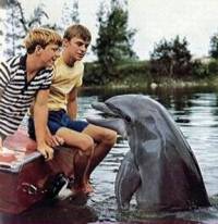 Flipper - izvor: www.antoniogenna.net
