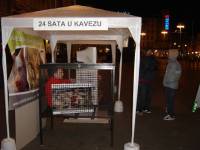 24 sata u kavezu 10 [ 38.07 Kb ]