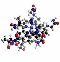 Vitamin B12 - izvor: http://ansc.umd.edu/