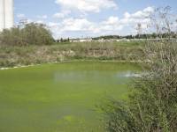 PIK Vrbovec farm2 [ 179.29 Kb ]