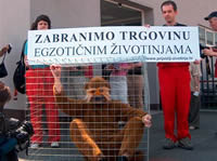 Protiv trgovine egzoti�nim �ivotinjama