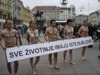 Sve �ivotinje imaju iste dijelove tijela