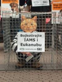 'Ma�ke' i 'psi' protiv Iamsa