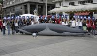 The Whale That Begs for the Rescue of His Fellows