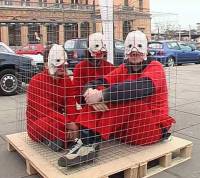 A Day in a Cage