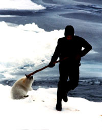 Seal hunt - Sealer 1 [ 59.94 Kb ]
