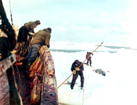 Seal hunt - hunters and the dead seal [ 84.71 Kb ]