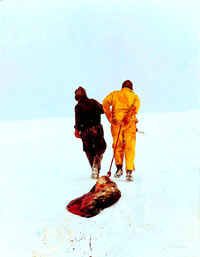 Seal hunt - foasealers dragging seal [ 71.26 Kb ]