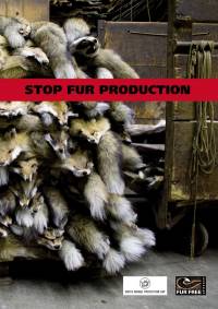 DAF-2nd place- Mildred Dandelot [ 83.65 Kb ]